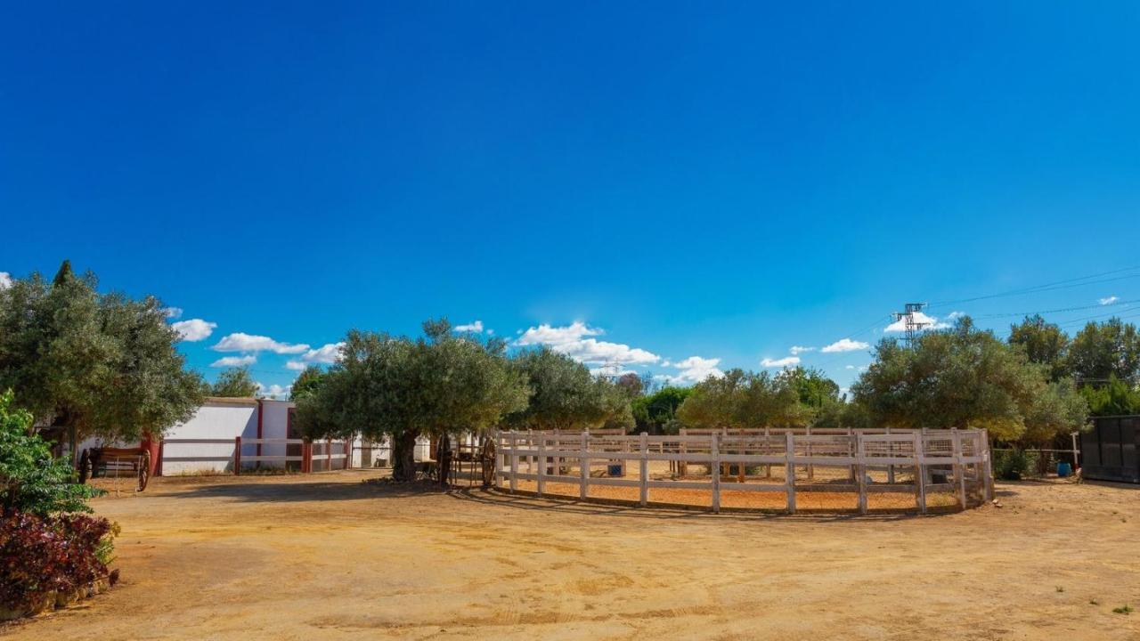 Finca La Canera Alcala De Guadaira By Ruralidays Екстериор снимка